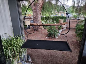 Large Parrot Swing