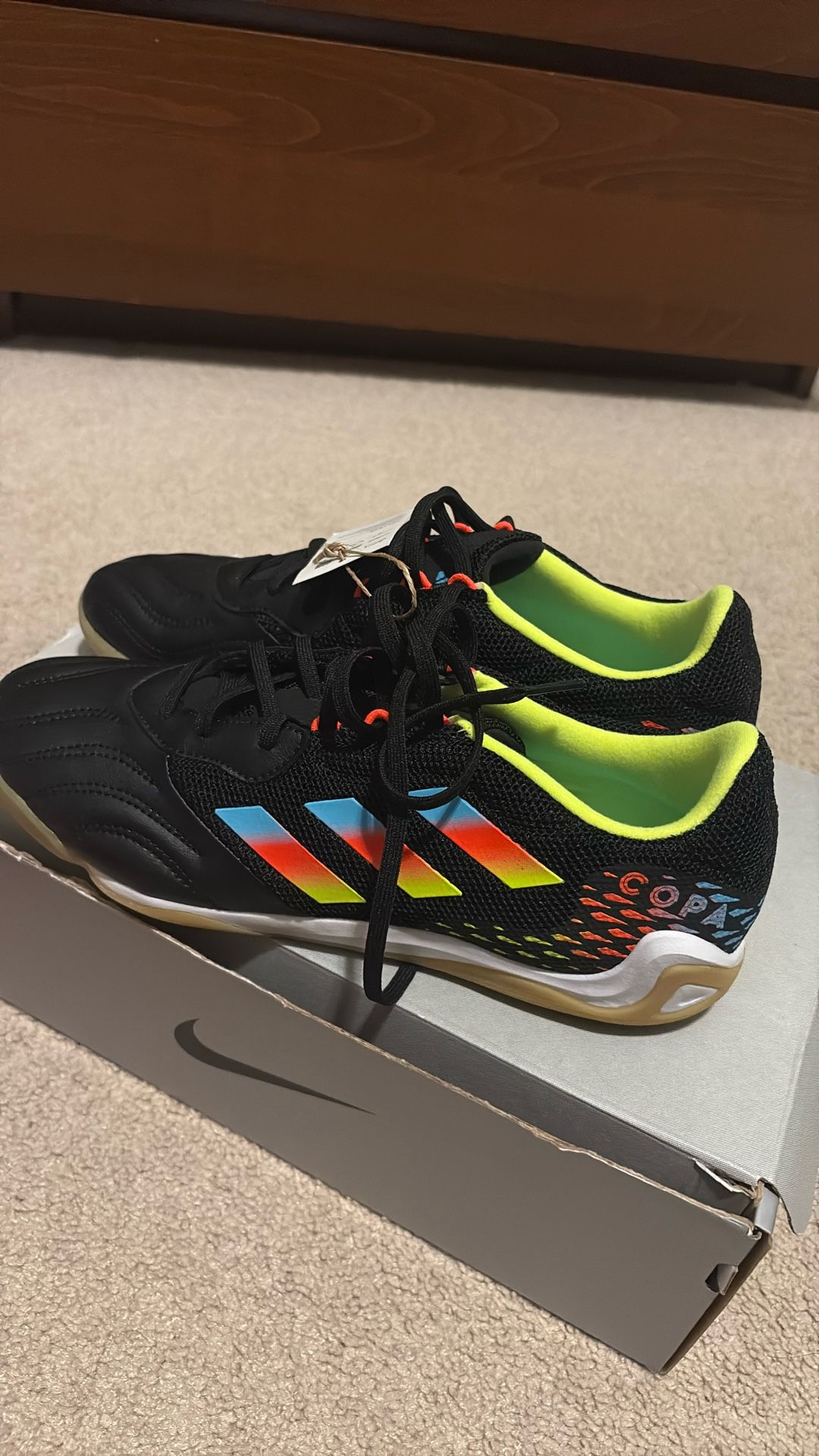 Copa Sense.3 In Sala