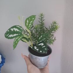 Fake Plant