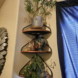 Plants And Deco