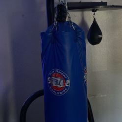 Double Punching Bad Stand Everlast