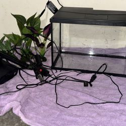 5 Gal Fish Tank 