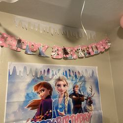 Frozen Decorations 