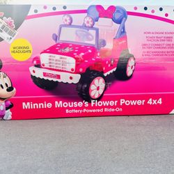 Minnie Mouse Flower Power Wheels