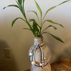 Bamboo