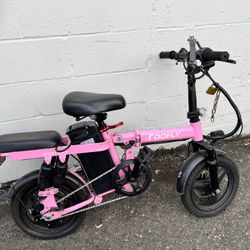Electric  Folding Tandem E Bike-Works Great Less Than A Year Old(flat Tire Only Issue ) 