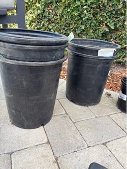 Free plastic plant containers