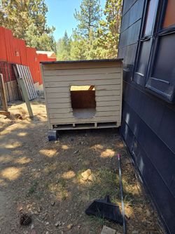 Free dog house