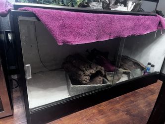 Terrarium Reptile 120 Gallon