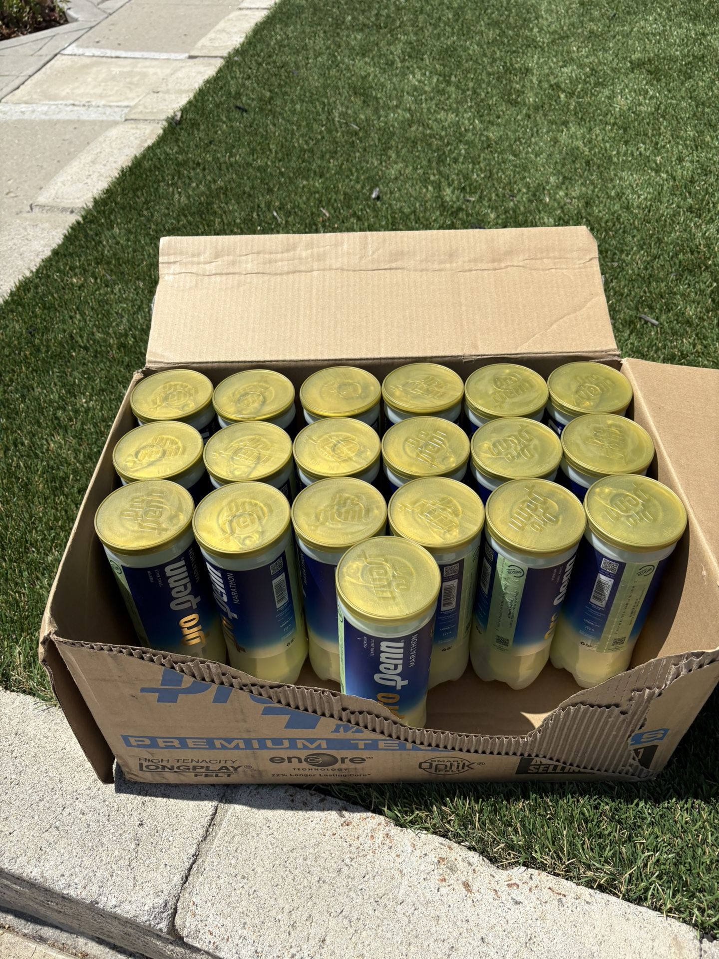 Pro Penn  🎾 Unopened Cans