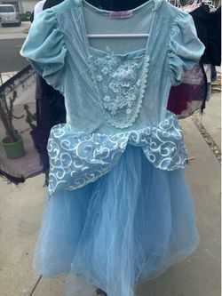Princes Dress - kids large