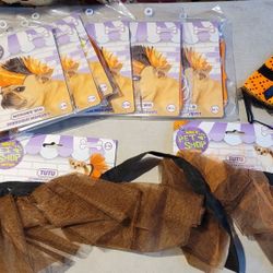 Dogs mohawk, witch hat,  and tutu Halloween costume 