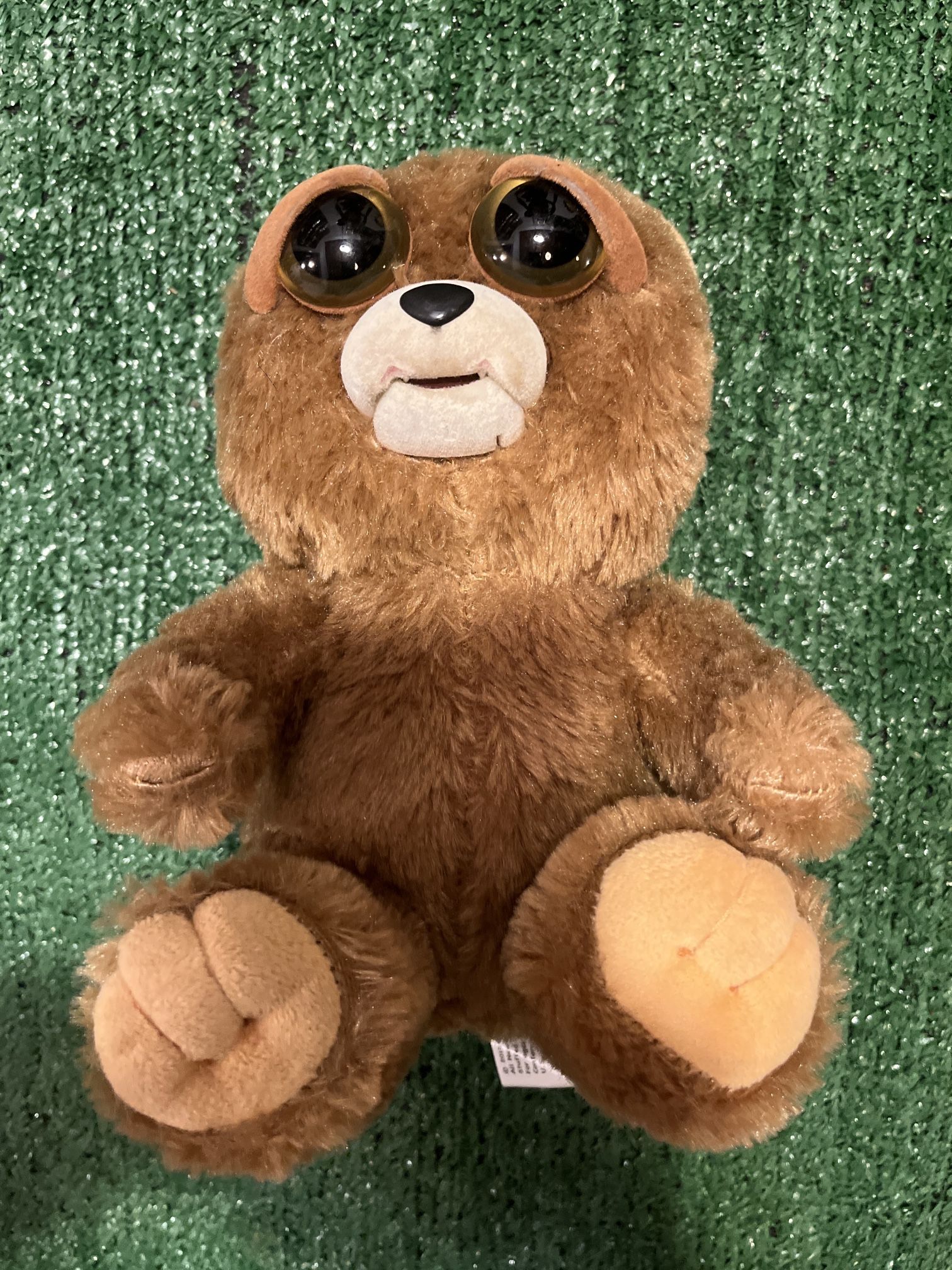 Feisty Pet/ Brown Bear Growling Teeth