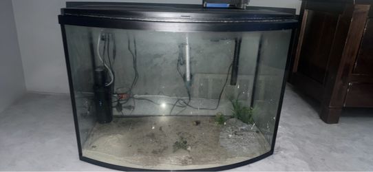 40 gallon Bowfront fish tank