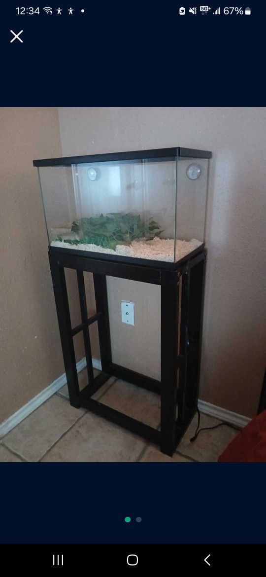 Reptile/Snake Tank Terrarium