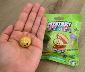 Mini mystery dumpling squishy