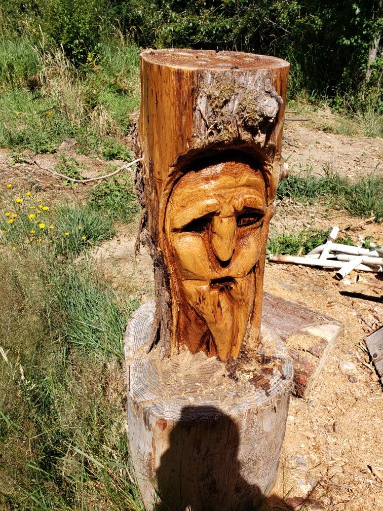 Chainsaw Carving Face