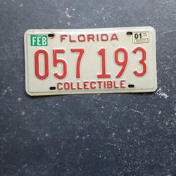 Nice Florida Collector Plate 