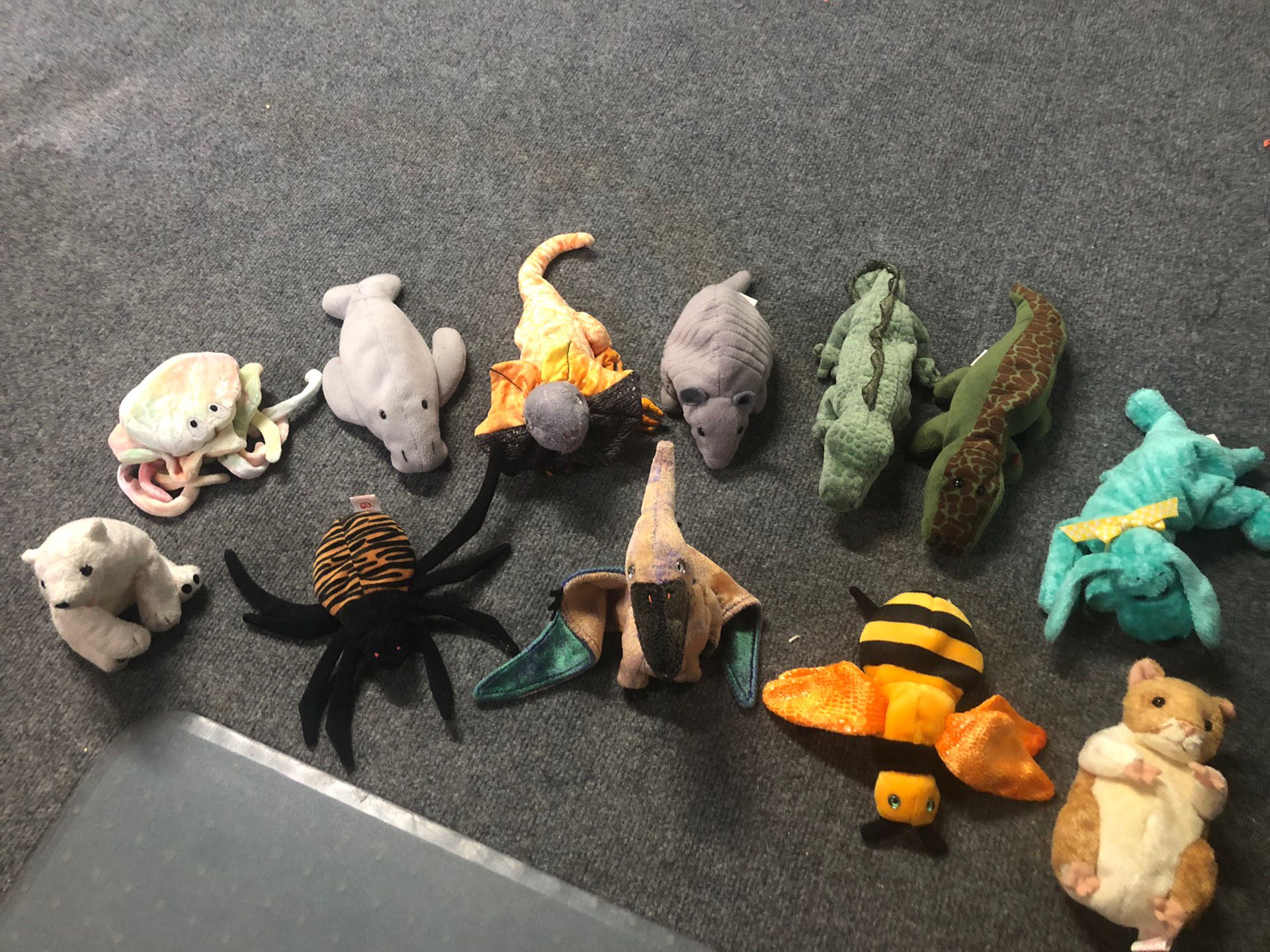 TY Beanie Babies