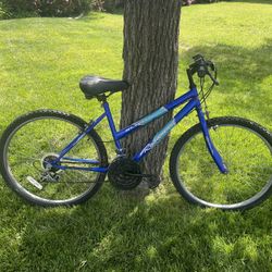 Free Bike 