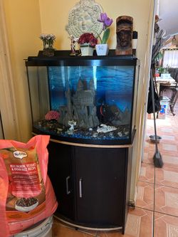 Fish Tank