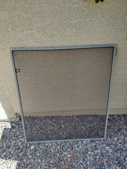 Window screen (bug)