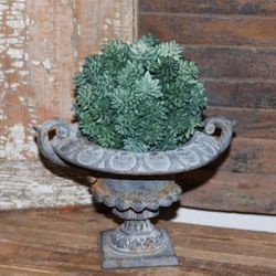 Shabby VTG Cast Iron Pedestal Urn with Sedum Sphere Topiary