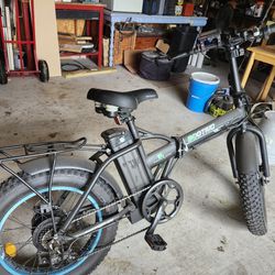 Electric Bike With Fat Tires