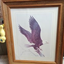 Large Vintage Eagle Print 