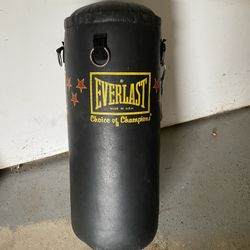 Everlast Punching Bag