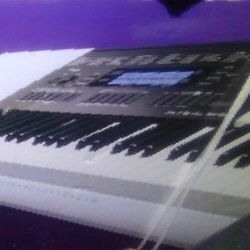 Casio Electronic  Keyboard 