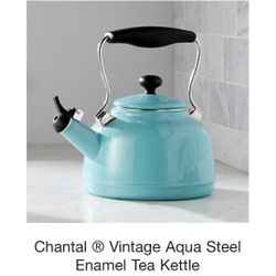 Brand New Teal Kettle 