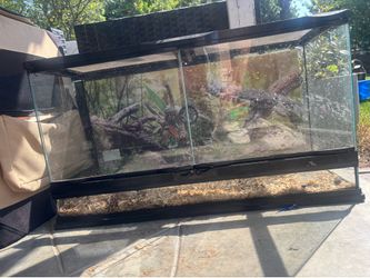 Reptile tank