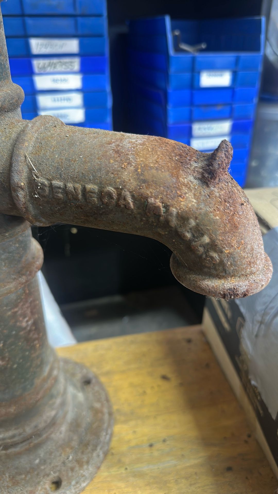 Old Seneca Falls Well Pump