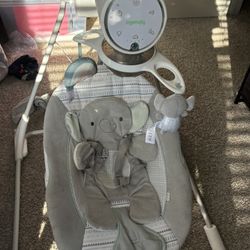 Baby Swing