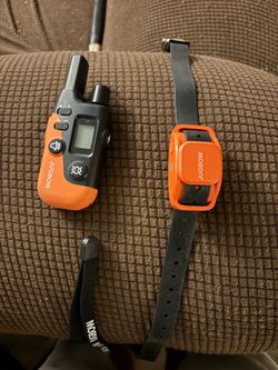 Dog shock collar
