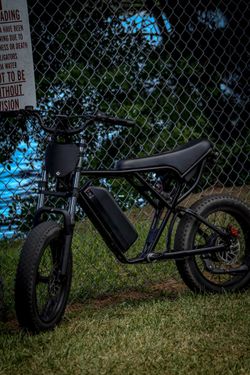 ridstar q20