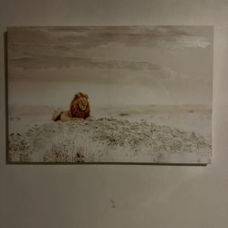 Resting Lion With White Canvas 