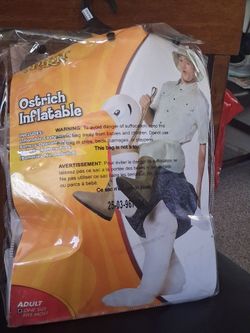 costume adult size