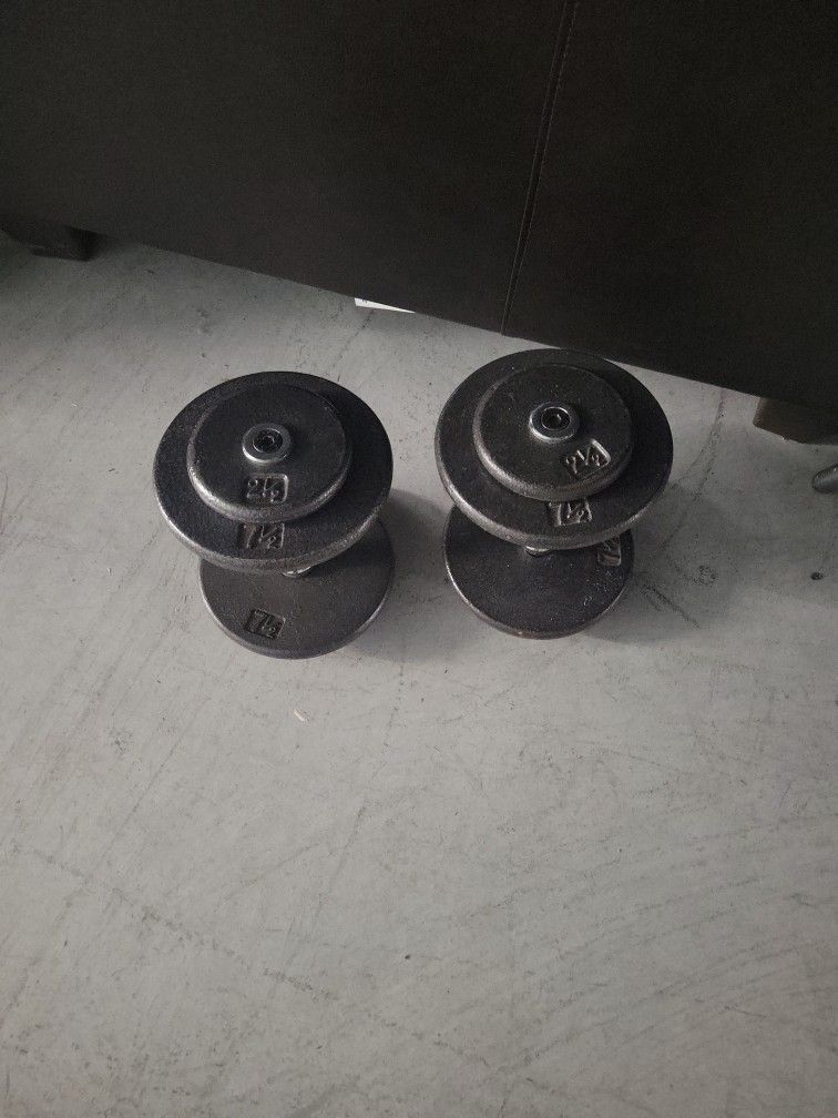 20lb DUMBELLS/ 10lb Ea 