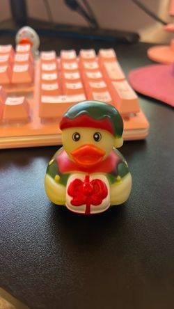 Christmas duck