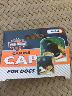 Doggie HD cap and bandana “s”