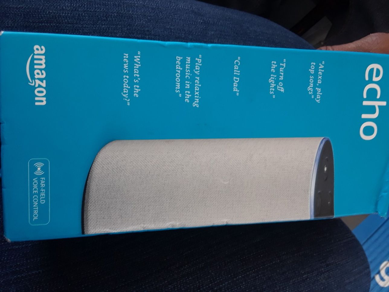 Echo voice control