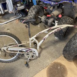 Tag A Long Bike 