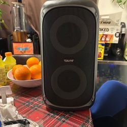 Tzumi Bass Super Bass Speaker 