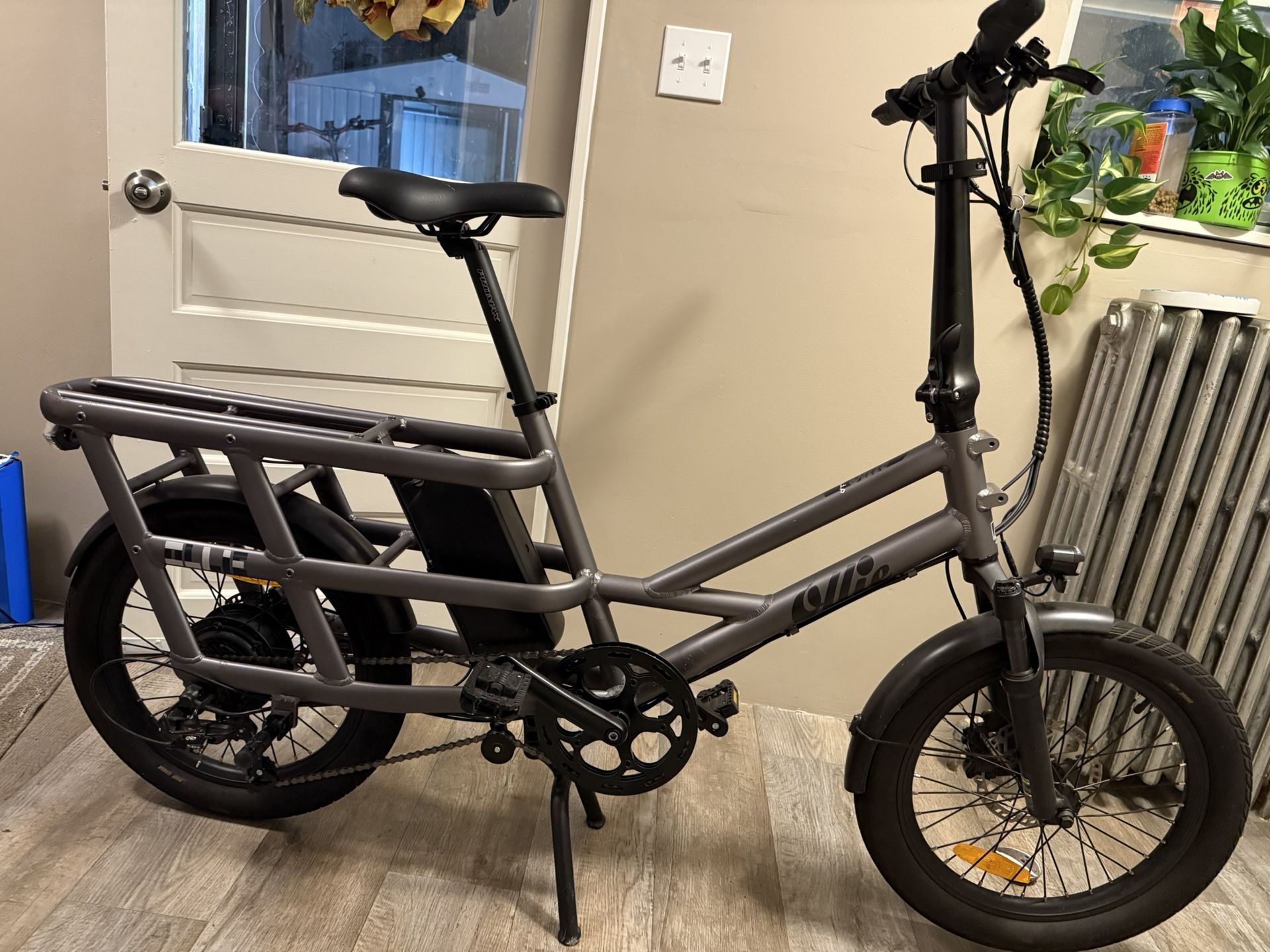 Electric Bike Ollie Flip