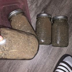 Stress / Keif / Shake / Buds 