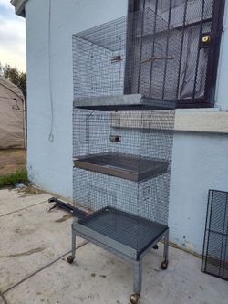 Cage/jaula