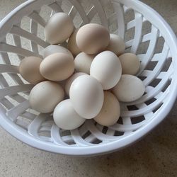 Eggs 