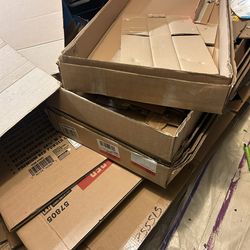 Cardboard